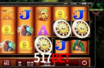 Interface Premium 517bet